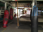 SANY0186.JPG